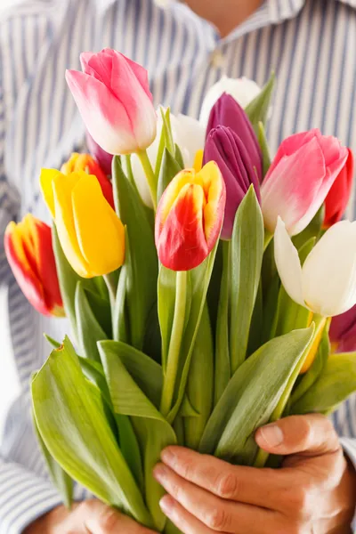 Boeket van tulpen in een hand — Stockfoto