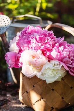 sepet içinde şakayık