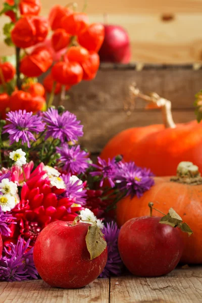 Thanksgiving day concept — Stock Photo, Image