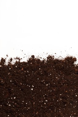 toprak üzerinde beyaz