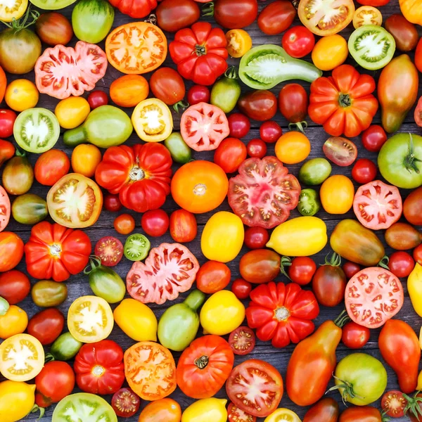 Bunte Tomaten — Stockfoto