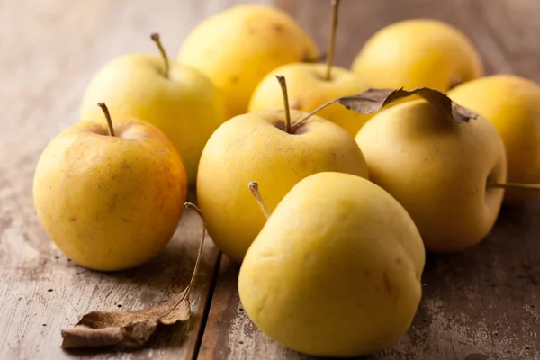 Green apples — Stock Photo, Image