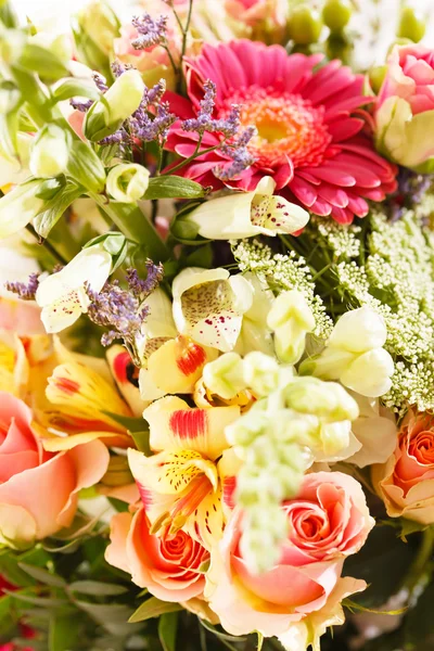 Ładne kwiaty — Zdjęcie stockowe