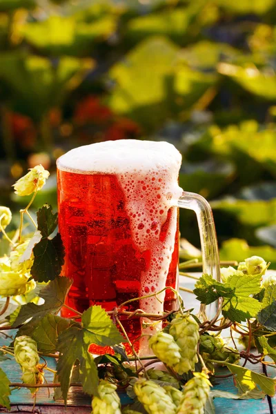 Hops with beer — Stock Photo, Image