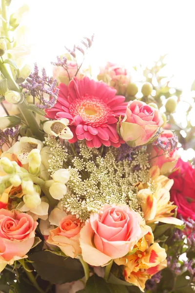 Szép virágok — Stock Fotó