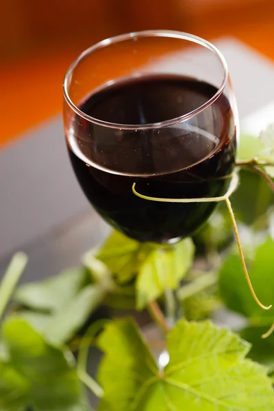 Червоне вино в келиху — стокове фото