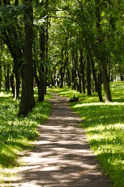 Vakker park – stockfoto