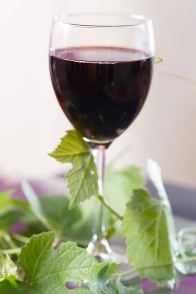 Vino tinto en copa con hojas de uva — Foto de Stock