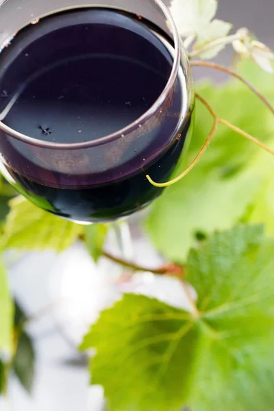 Vinho tinto em vidro com folhas de uva — Fotografia de Stock