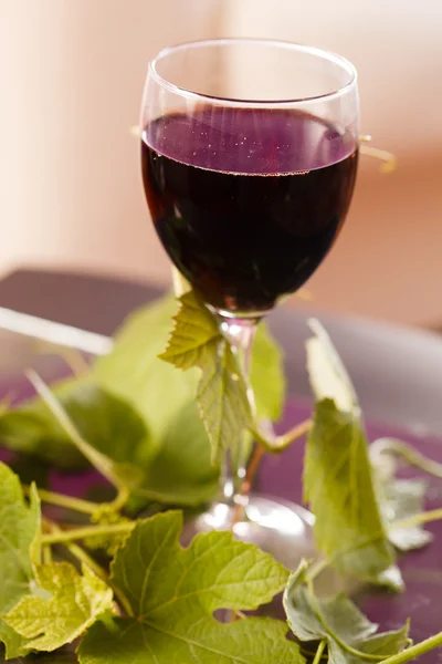 Vino tinto en copa con hojas de uva — Foto de Stock