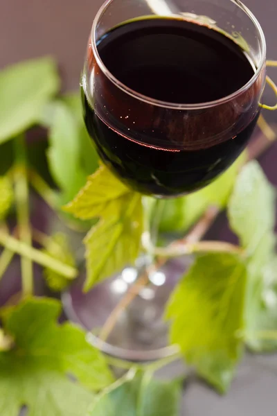 Червоне вино в скло з виноградного листя — стокове фото