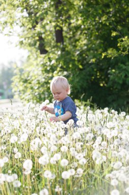 küçük yeşil çayır üzerinde oturan oğlu