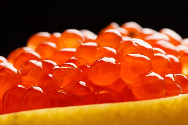 Caviar vermelho no limão — Fotografia de Stock