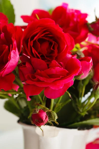 Rose rosse — Foto Stock