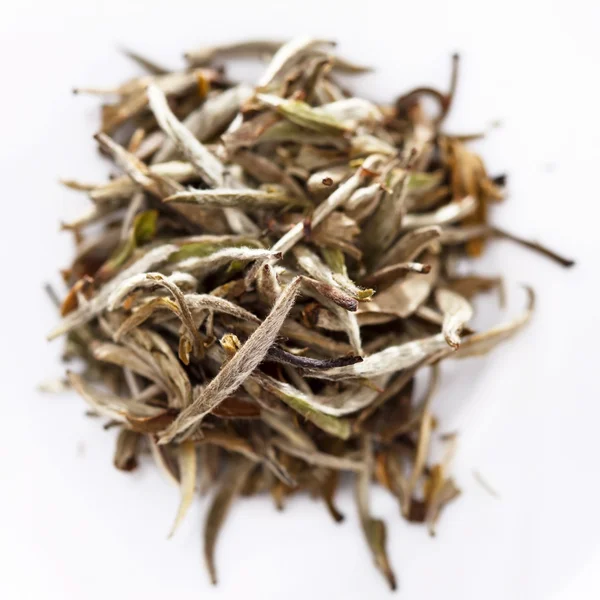 Té blanco — Foto de Stock