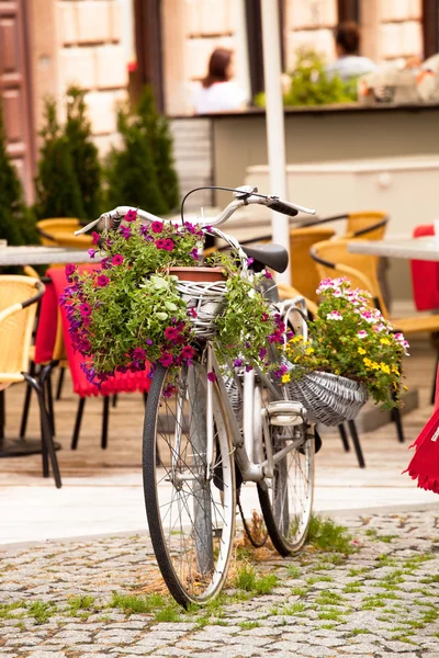 自転車の花 — ストック写真