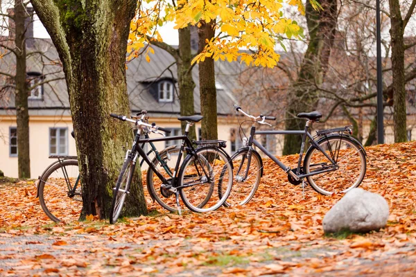 在公园里的自行车 — 图库照片