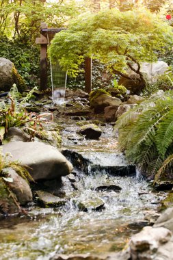 Ormandaki su kaynağı