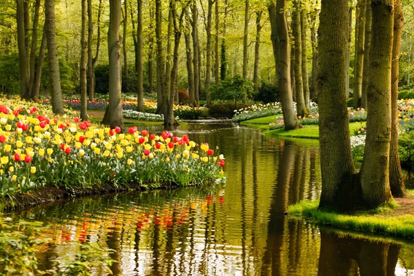 Frühlingsgarten — Stockfoto