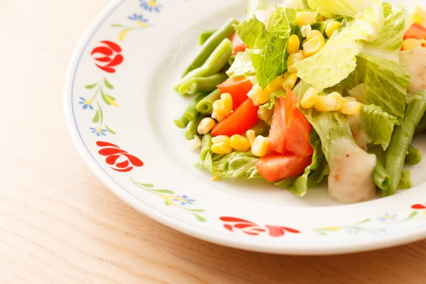 Vegetarischer Salat — Stockfoto