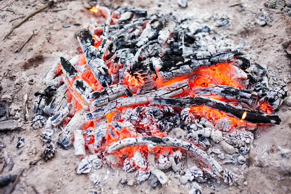 Bonfire on the ground — Stock Photo, Image