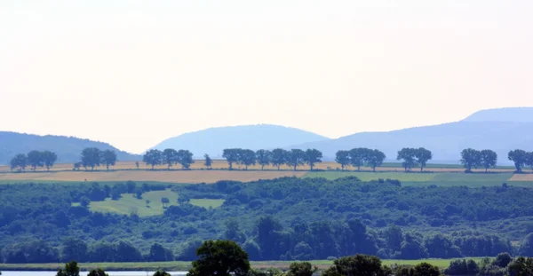 Landschap van het platteland — Stockfoto