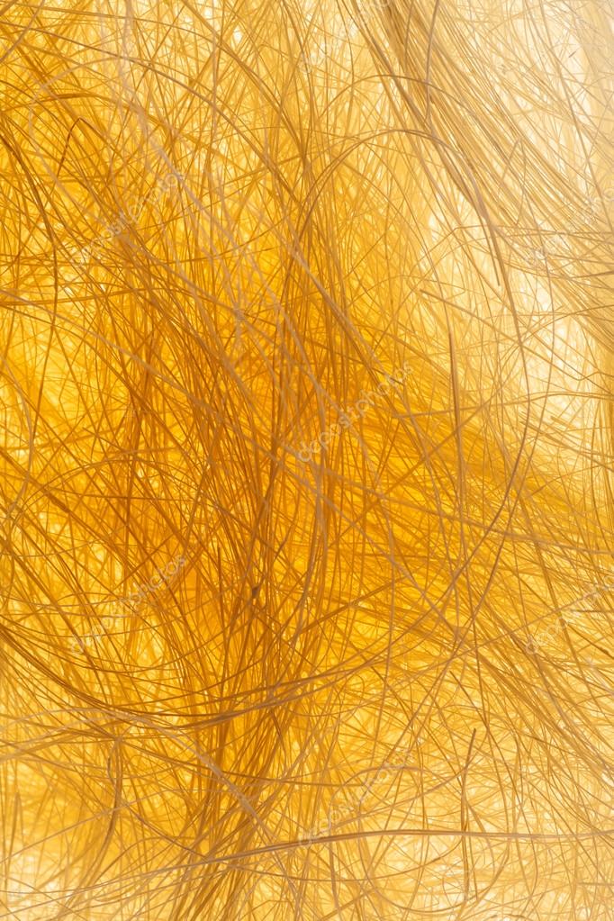 Natural sisal Stock Photo by ©Shebeko 50000343