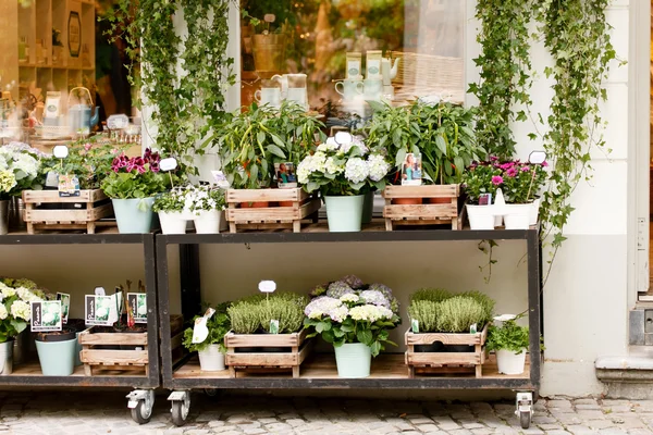 Flower shop outdoor — Stock Photo, Image