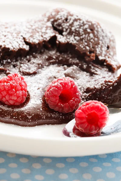 Dessert au chocolat aux framboises — Photo