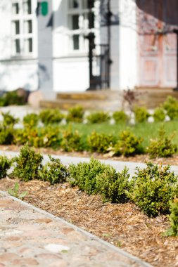 Beyaz Rusya'da homestead