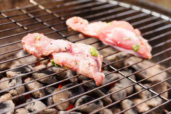 Carne a la parrilla — Foto de Stock