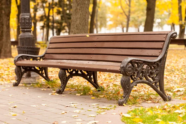 Empty bench — Stock Photo, Image