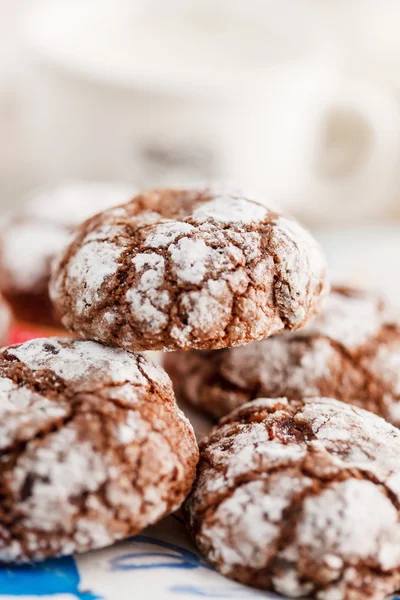 Biscotti al cioccolato — Foto Stock