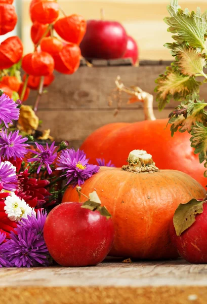 Thanksgiving day concept — Stock Photo, Image