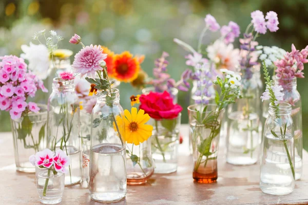 Nice flowers — Stock Photo, Image