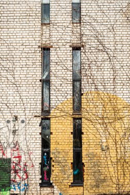 Penceresi ve dalları olan eski bina