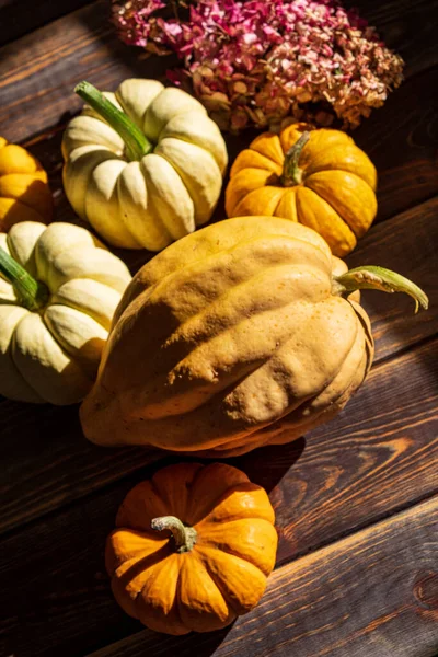 Pumpkins Dark Wooden Background Halloween Harvesting Thanksgiving Concept — Stock Photo, Image