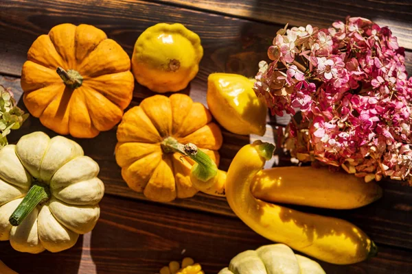 Pumpa Mörk Trä Bakgrund Halloween Skörda Tacksägelse Koncept — Stockfoto