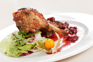 ördek kanatlarını