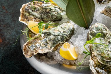 Buz drift ile taş tabakta istiridye