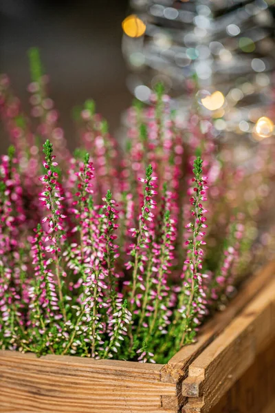 Heather Christmas Table — Stock Photo, Image