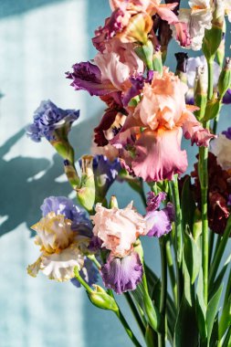 Bir demet taze süsen çiçeği.