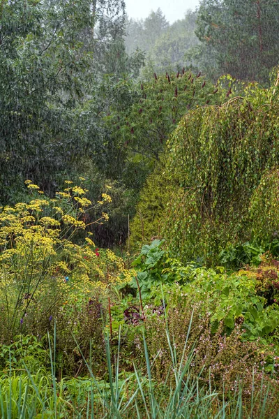 Permakultur Garten Mit Frischen Kräutern — Stockfoto
