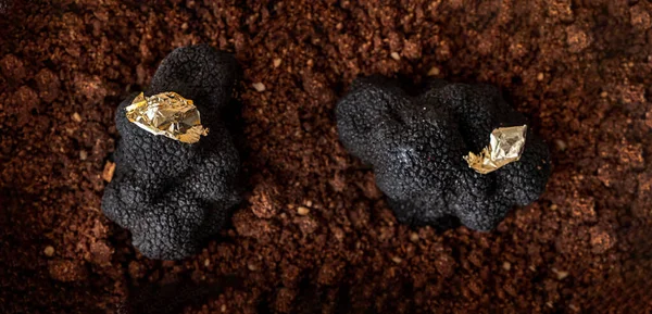 Sobremesa Chocolate Com Trufa Preta — Fotografia de Stock