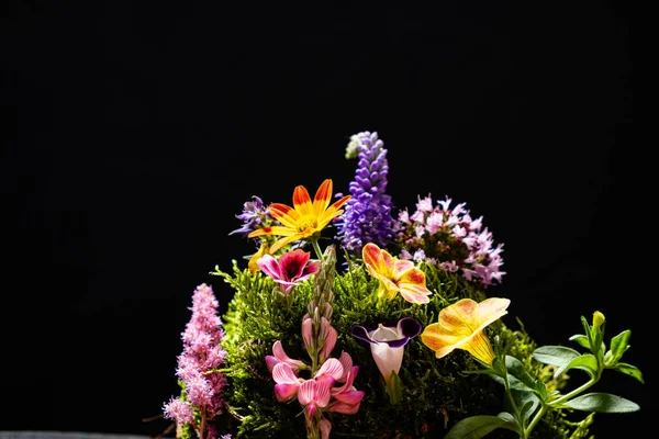 Kleurrijke Bloemen Zwarte — Stockfoto