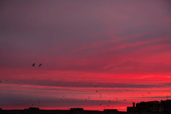 街の日の出が赤い空に近づく — ストック写真