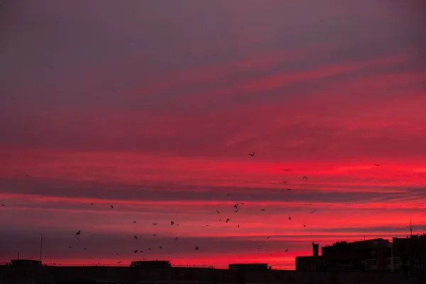 City Sunrise Close Red Sky — Stock Photo, Image