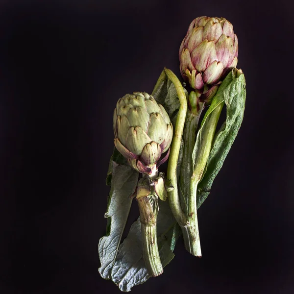 Bourgeon Fleur Artichaut Comestible Vert — Photo