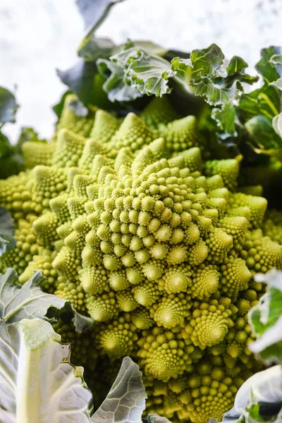 Roman Cauliflower Table — Stock Photo, Image