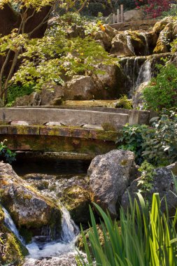 Bahar Japon bahçesi ve nehir. 